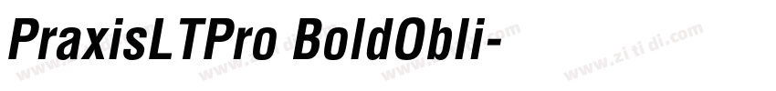 PraxisLTPro BoldObli字体转换